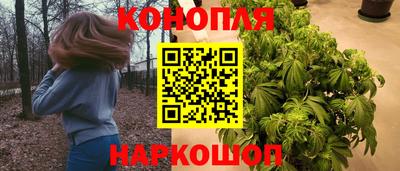 прущие грибы Гусиноозёрск