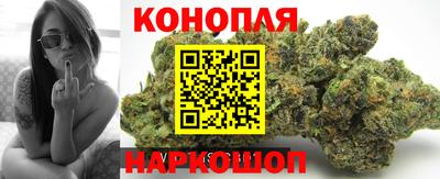 прущие грибы Гусиноозёрск