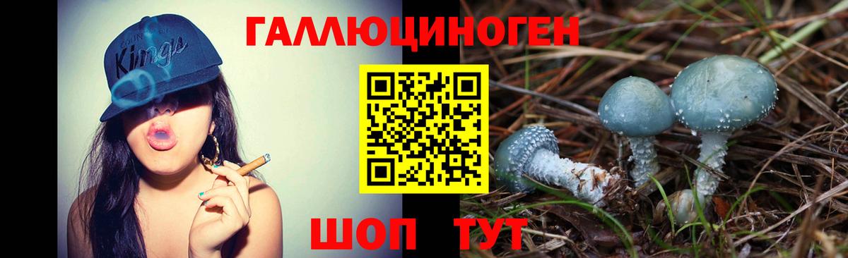 Псилоцибиновые грибы Cubensis  Галлюциногенные грибы мицелий  купить закладку  Вход с VPN  Междуреченск 